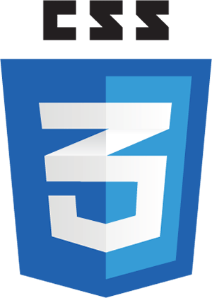 css3